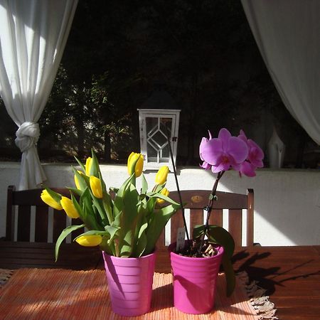 Apartment Villa Holiday II Pula Bagian luar foto
